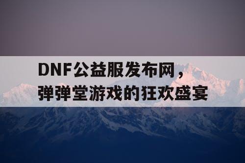 DNF公益服发布网，弹弹堂游戏的狂欢盛宴