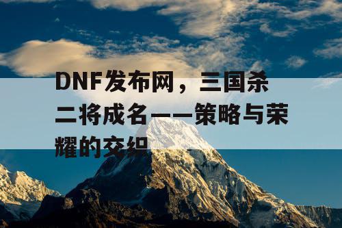 DNF发布网，三国杀二将成名——策略与荣耀的交织