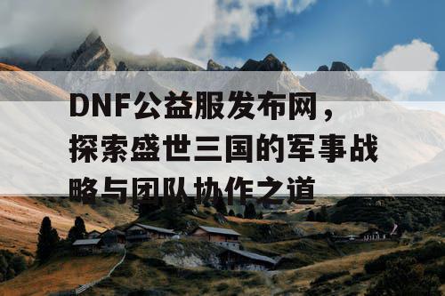 DNF公益服发布网，探索盛世三国的军事战略与团队协作之道