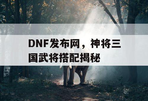 DNF发布网，神将三国武将搭配揭秘