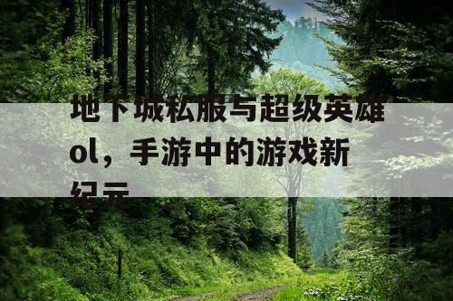 地下城私服与超级英雄ol，手游中的游戏新纪元