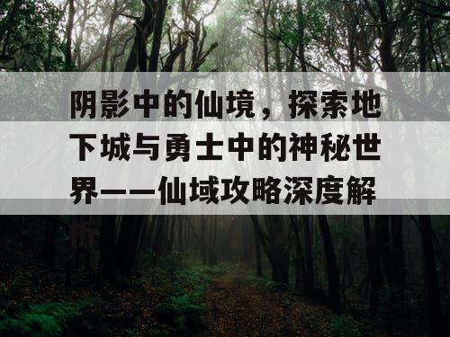 阴影中的仙境，探索地下城与勇士中的神秘世界——仙域攻略深度解析