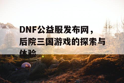 DNF公益服发布网，后院三国游戏的探索与体验