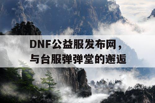 DNF公益服发布网，与台服弹弹堂的邂逅