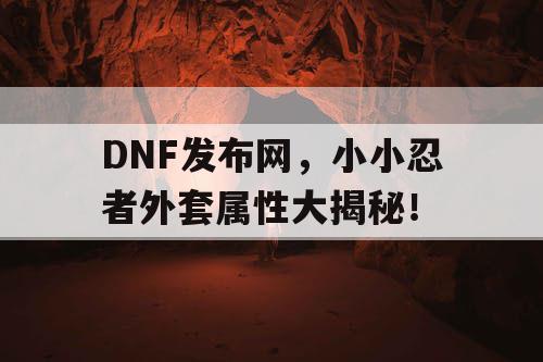 DNF发布网，小小忍者外套属性大揭秘！