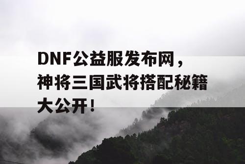 DNF公益服发布网，神将三国武将搭配秘籍大公开！