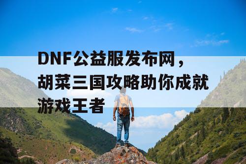 DNF公益服发布网，胡菜三国攻略助你成就游戏王者