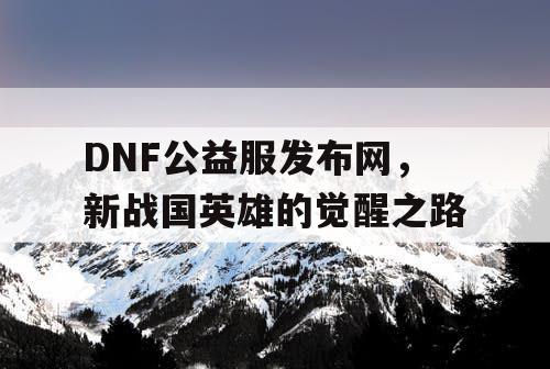 DNF公益服发布网，新战国英雄的觉醒之路