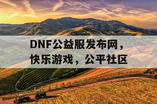 DNF公益服发布网，快乐游戏，公平社区