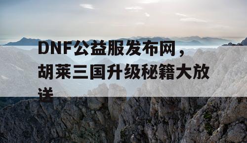 DNF公益服发布网，胡莱三国升级秘籍大放送