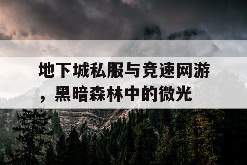 地下城私服与竞速网游，黑暗森林中的微光